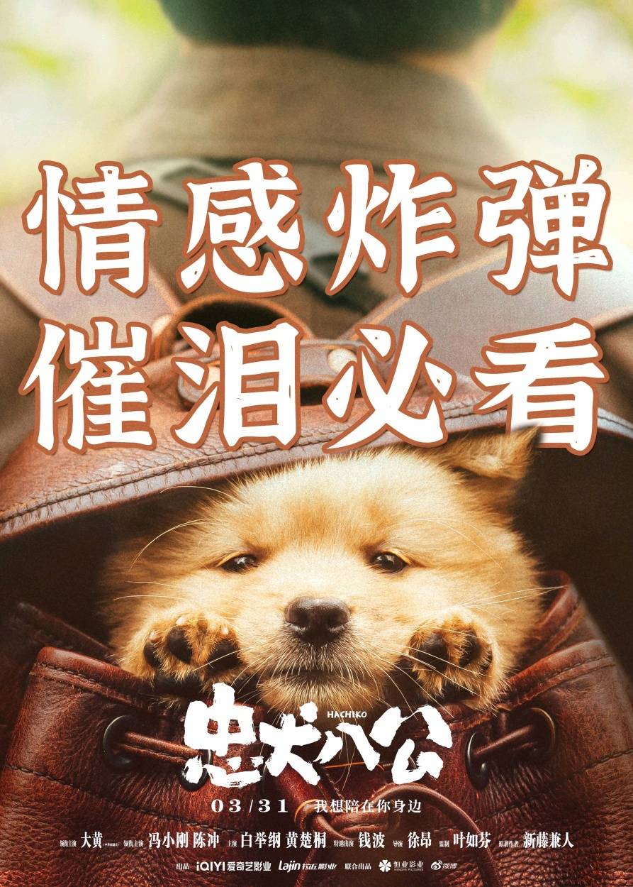 冯小刚电影忠犬八公撤档,冯小刚主演的忠犬八公细节