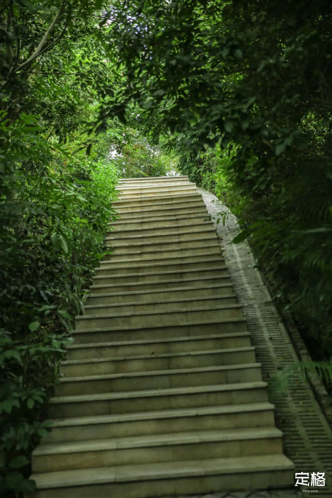 深圳百米长「纯白登山梯」，打卡绝了