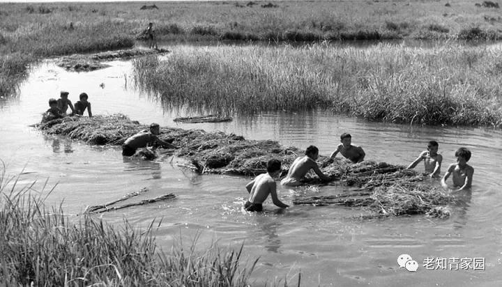 北大荒知青生活叙事诗——北大荒“游击词”100篇