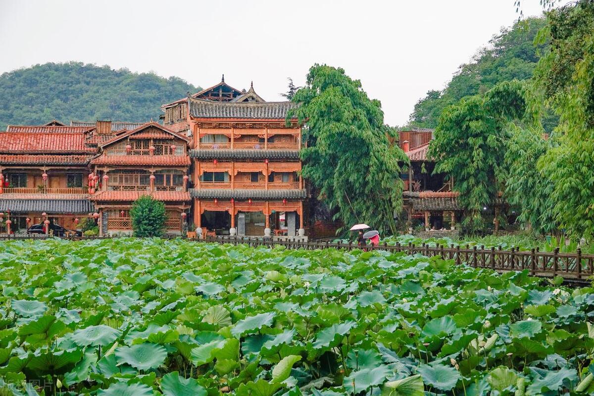 普者黑有哪些风景点,普者黑山水美如画