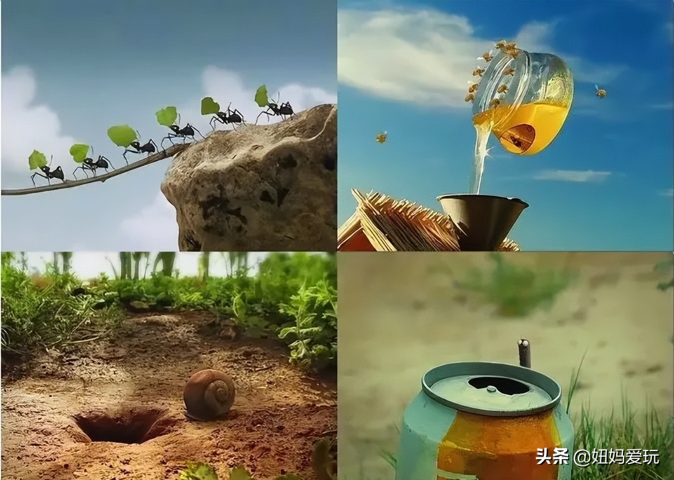 这几部口碑爆棚的宝藏纪录片,国庆孩子必看的8部神级纪录片