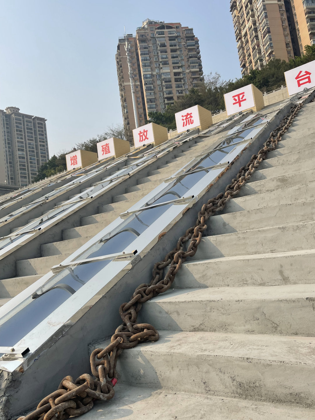 广西梧州市老码头,梧州老码头河鱼