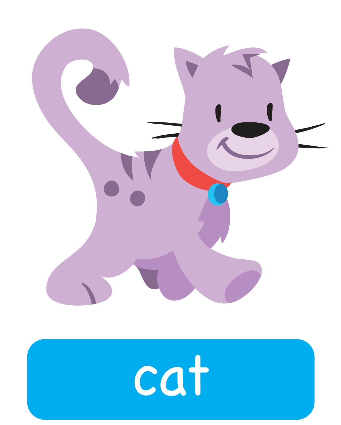 图说英语单词：高清动物类卡片，一图一单词