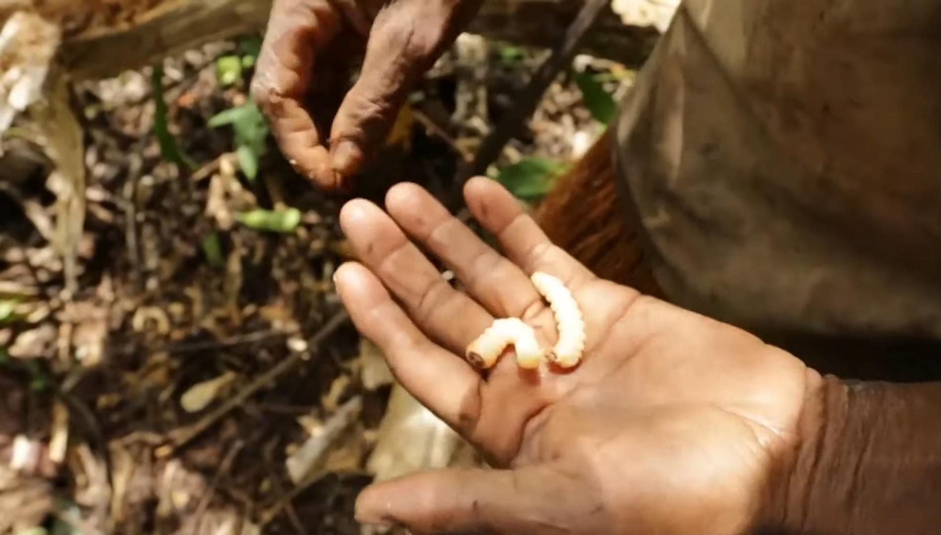 现存的食人族原始部落,世界上最后一个食人族部落
