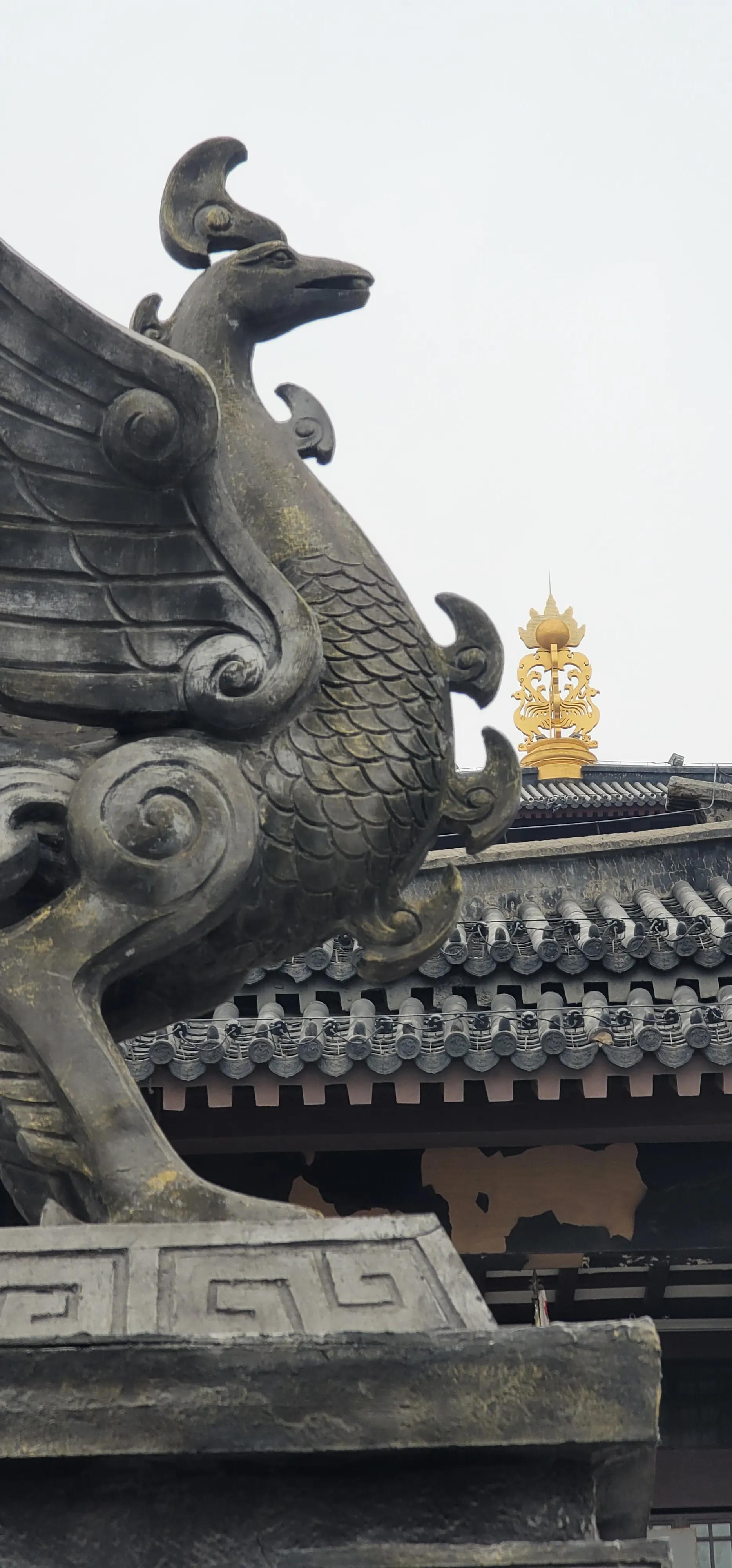 开着沪牌回老家怎么样,开着大巴玩转江浙沪