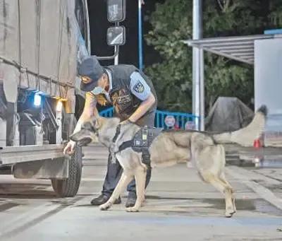 国际禁毒日拒绝毒品预防艾滋,国际禁毒日防毒反毒人人有责