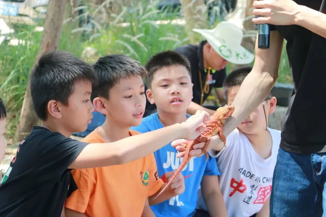 鼓浪屿可以当天预订船票攻略 (鼓浪屿还有免费的船票吗)