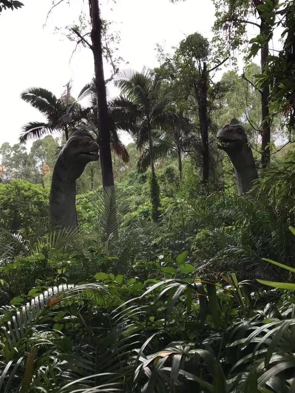 广州长隆野生动物园全部动物,广州长隆野生动物园所有动物介绍