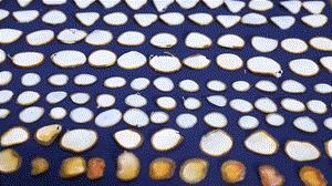 中药材炮制是千年非遗技艺,干鹿茸最原始的炮制方法