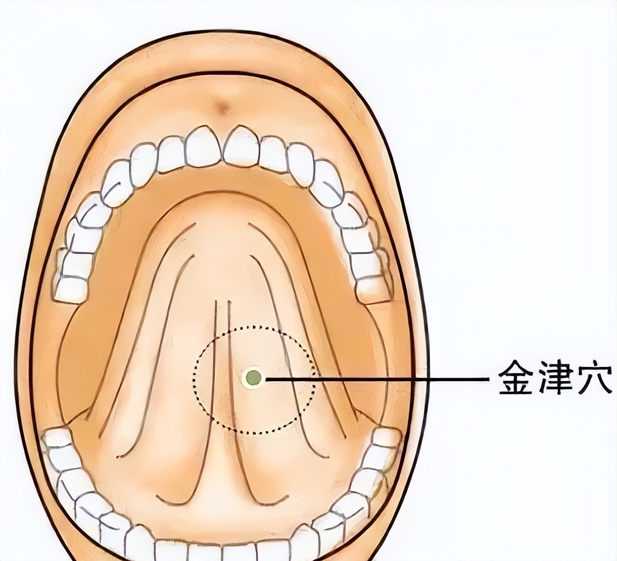 增强体质免疫力最好的方法,小孩增强体质的方法
