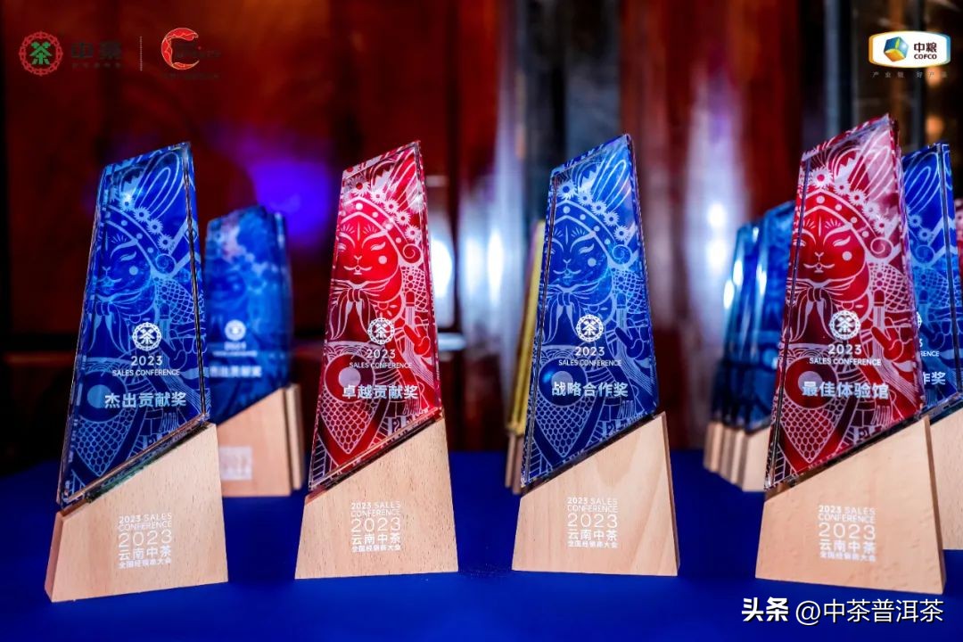 中茶普洱茶经销商信息大会,中茶2024年经销商大会