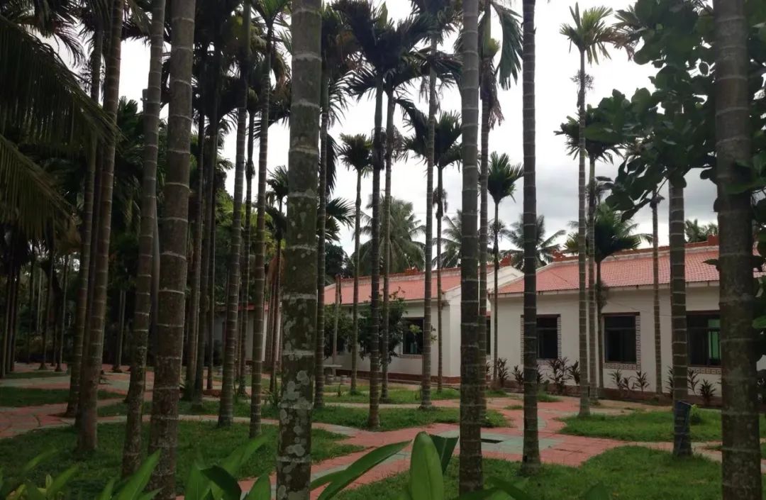 旅游平替，打工人的钱包有救了？