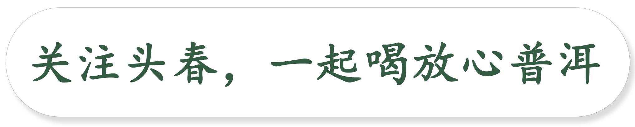 茶器种类测评,最全茶器知识看完你就全懂了