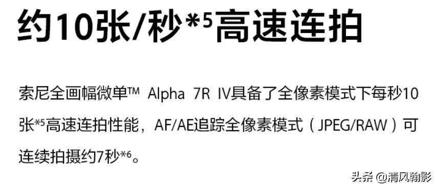 拍鸟什么微单相机合适,索尼a7r4深度拍摄感受