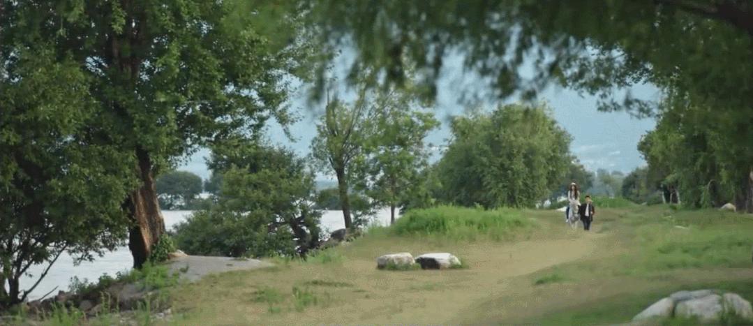 打飞的都要去坐的动车,怎么每站都这么好看