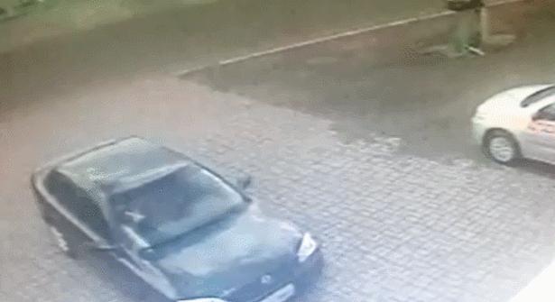 真实大象的照片,在野外拍到的真实大象