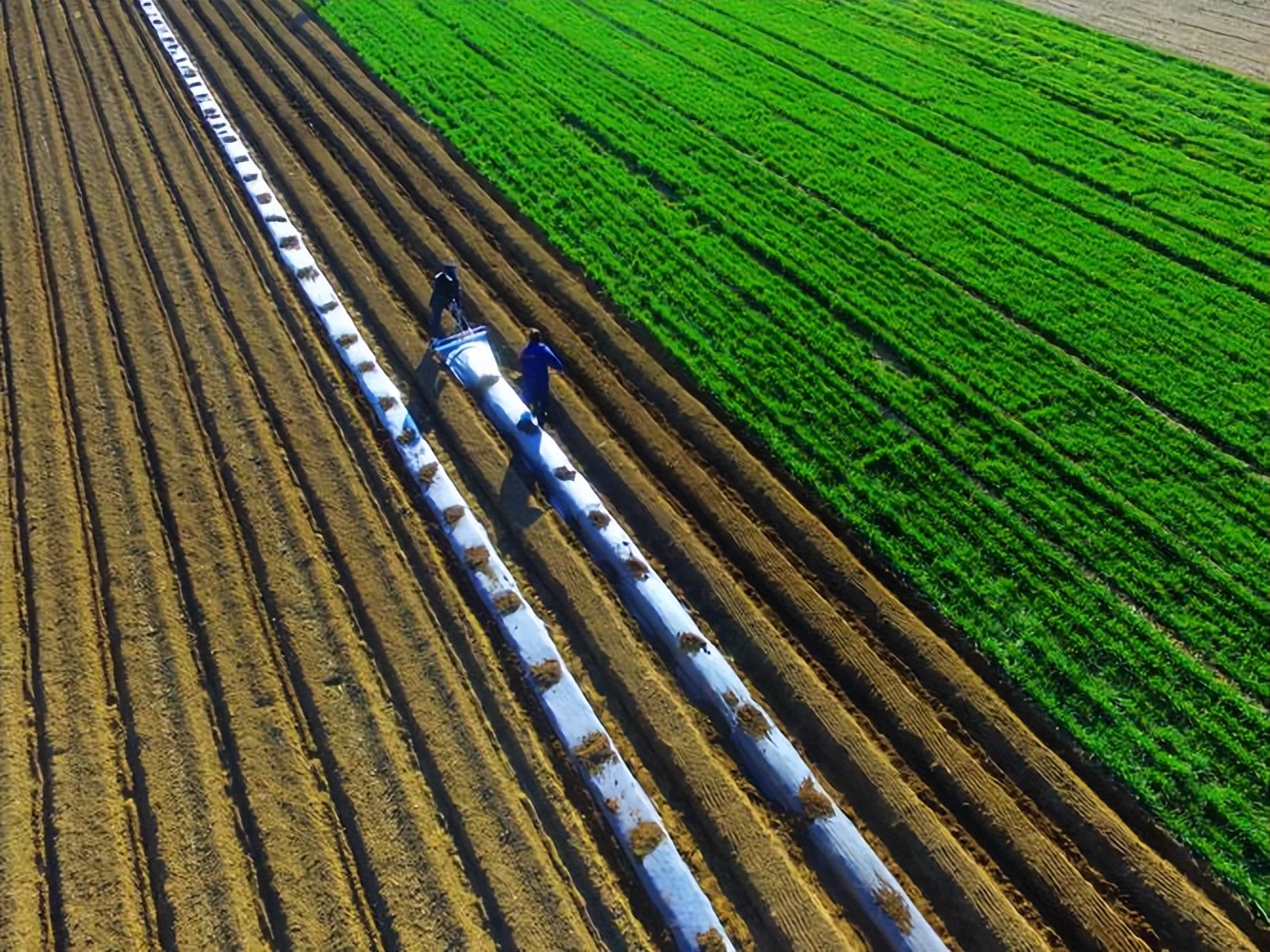 农业资源高效利用与生态环境保护,农业生态保护与经济社会发展