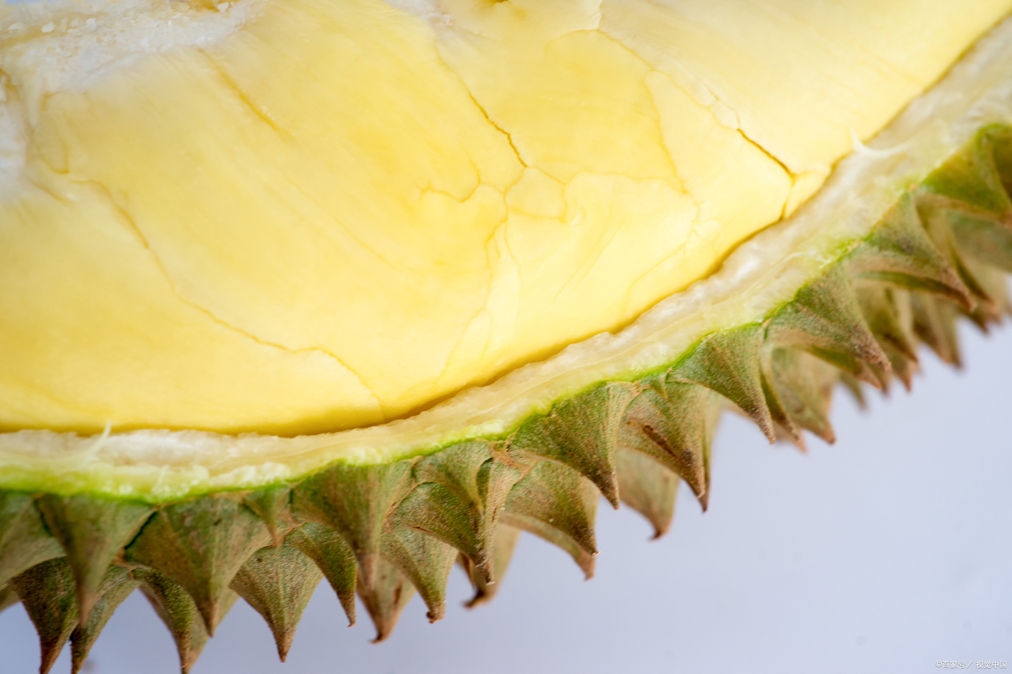 水果之王榴莲吃了有什么作用,水果之王榴莲的功效是否可以美白