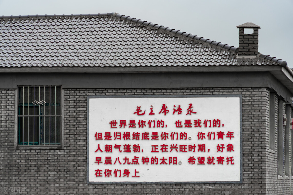 重新开展知青下乡,返乡知青下乡创业