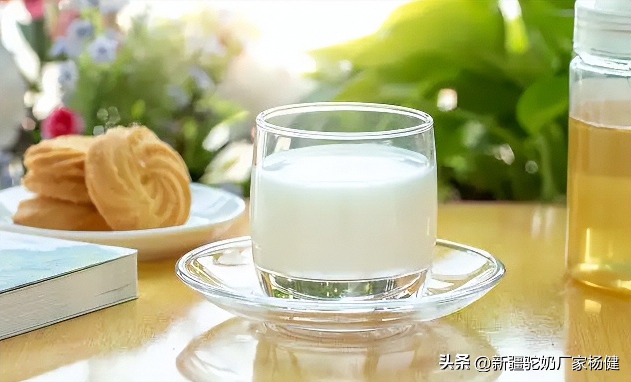 西域圣品骆驼奶,西藏正宗骆驼奶