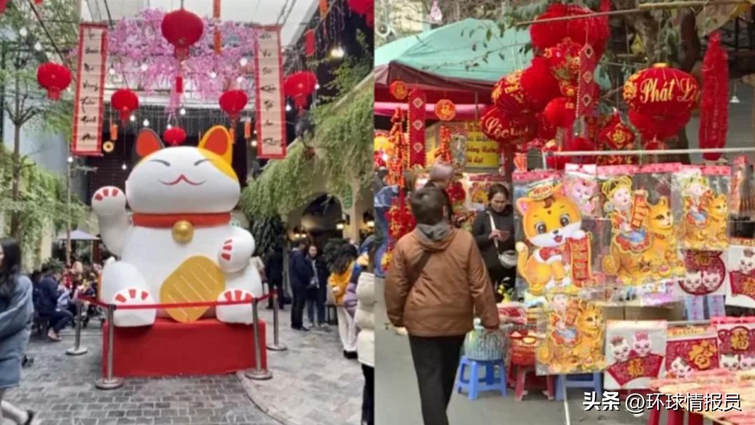 猫为什么没有入选十二生肖,越南为什么把兔年叫猫年