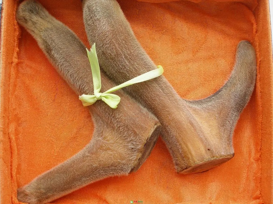 一只成年鹿一年能卖多少钱鹿茸,鹿茸很贵为啥不养鹿