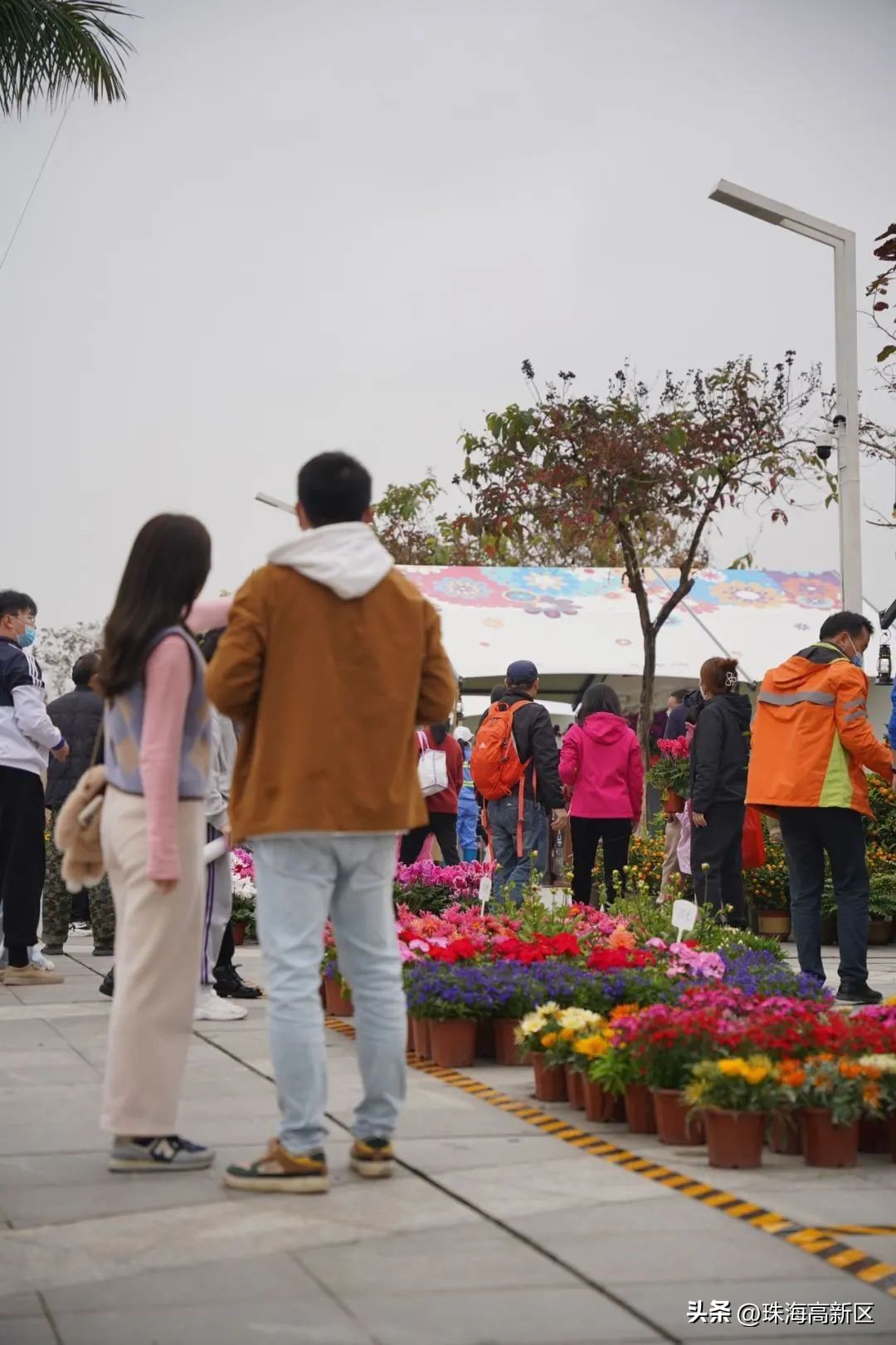 迎春花市亮灯仪式,珠海高新区迎春花市时间表