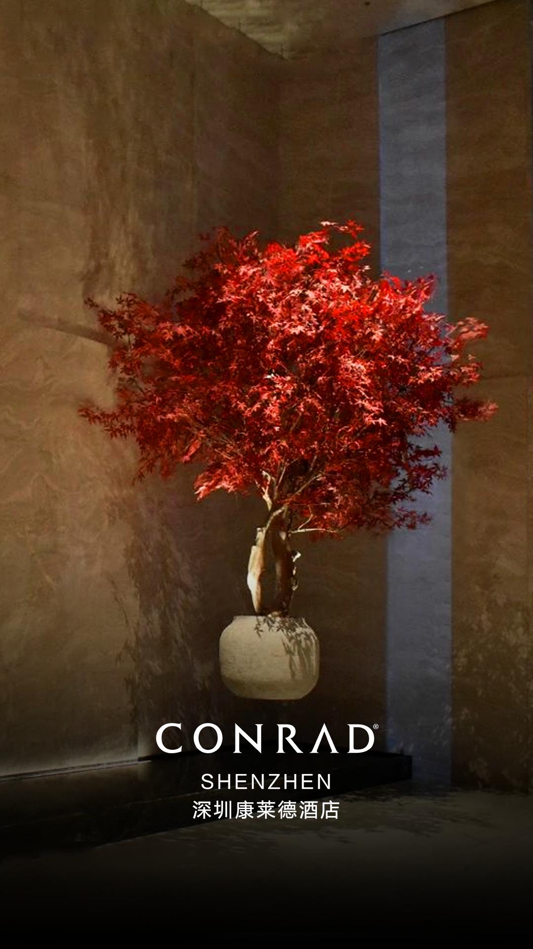 深圳康莱德酒店房间设计,深圳康莱德酒店实景照片