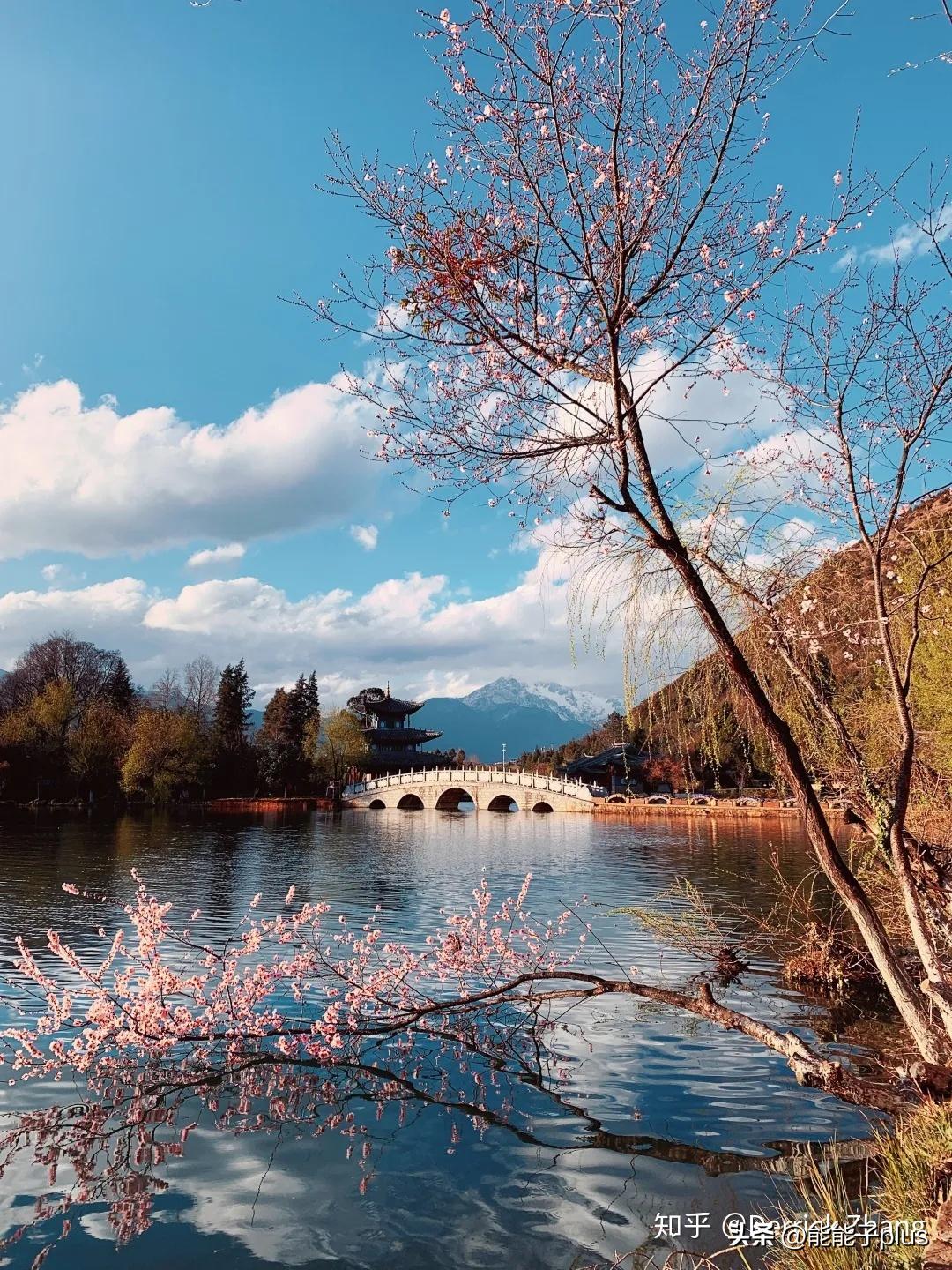 iphone12相机美颜怎么开,iphonex相机最佳设置