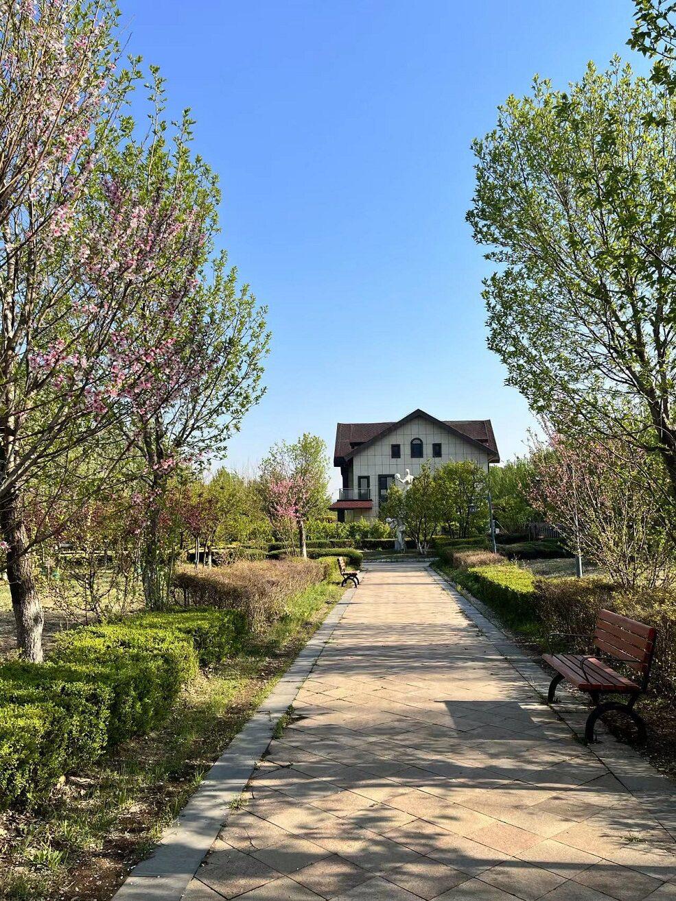 漫步南沙河，又是被“圈粉”的一天