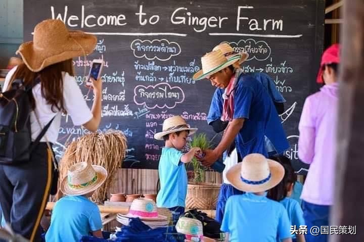 2024年清迈游学冬令营,泰国清迈有什么好项目