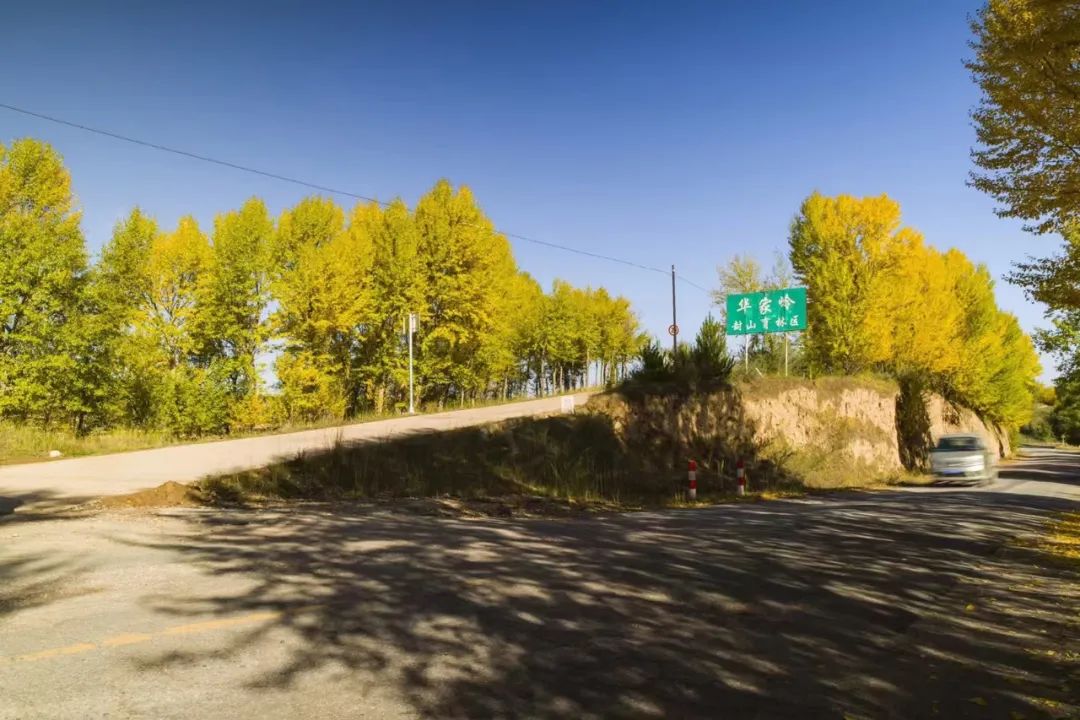 深秋等你到来,深秋等你来