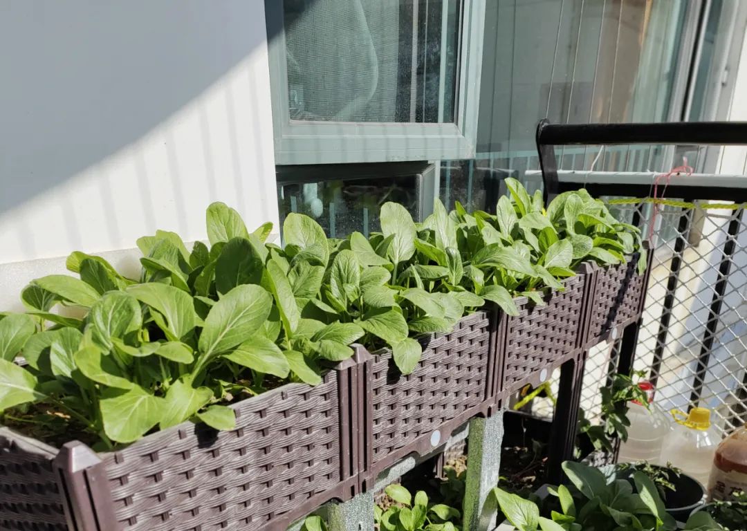 阳台封窗断桥铝70还是90的好,阳台封窗好不好看完就有答案