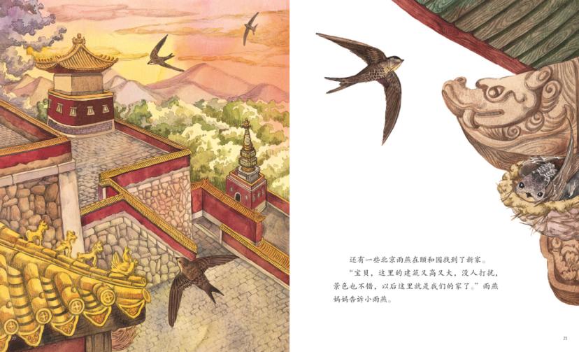 珍稀野生动物鸟类图片朱鹮,我国珍稀鸟朱鹮图片