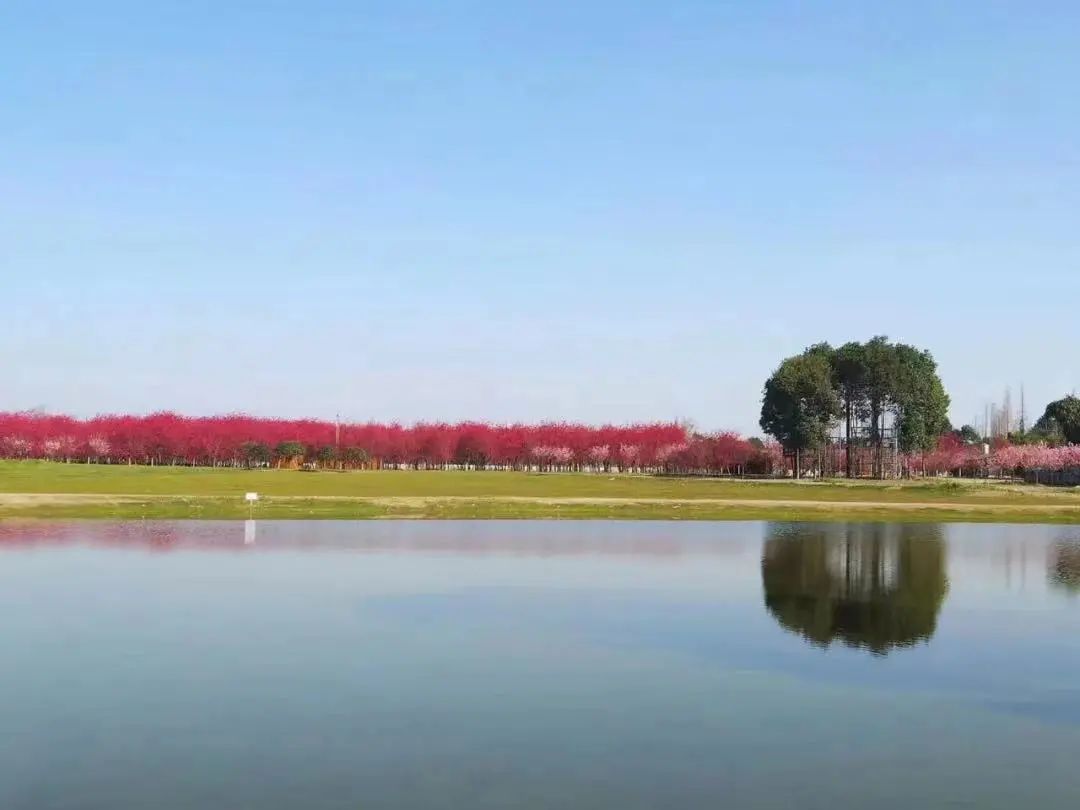 成都免费露营地推荐过夜,成都周边露营地推荐自驾