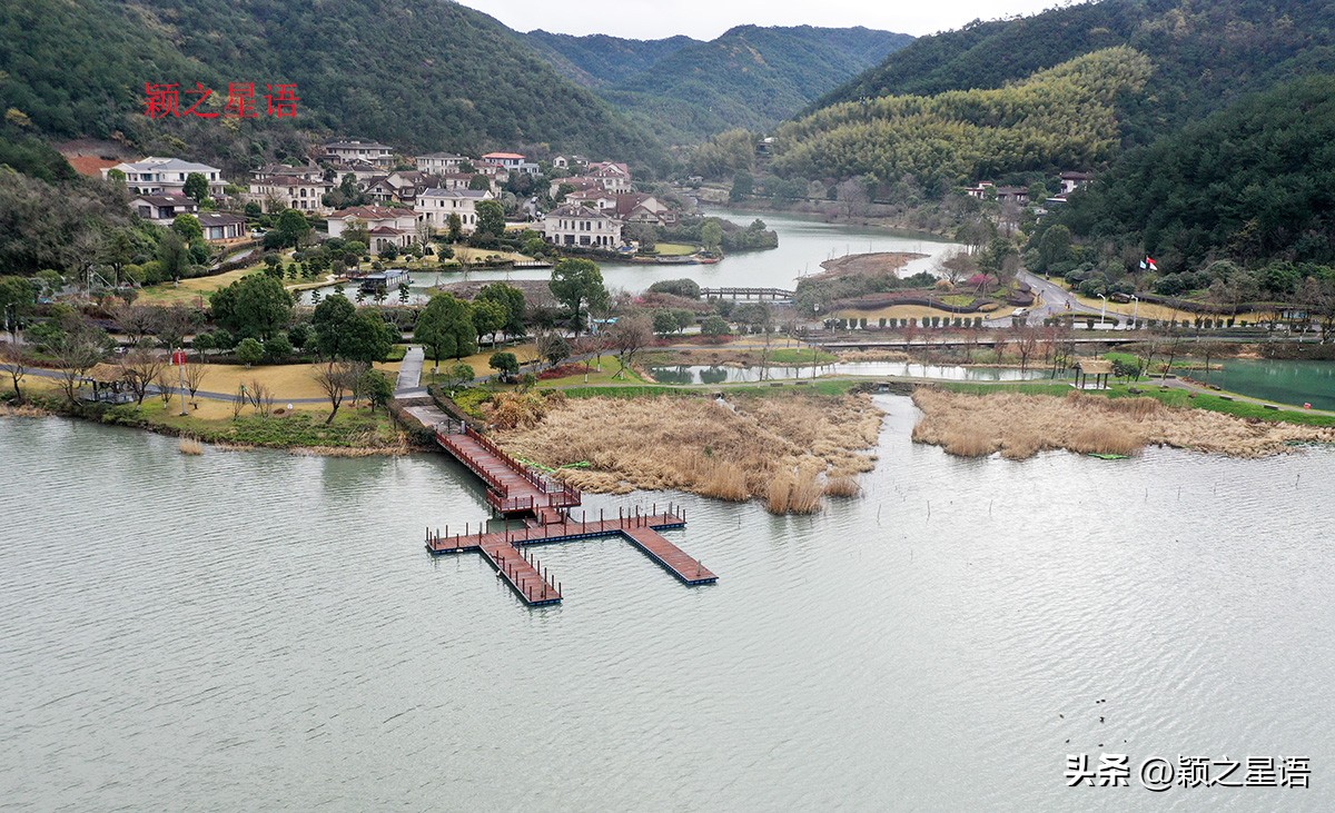 没有花的花博园，收费变免费，梅花正艳