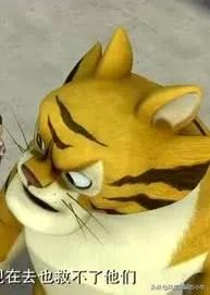 熊出没最厉害的角色,熊出没历代角色大全