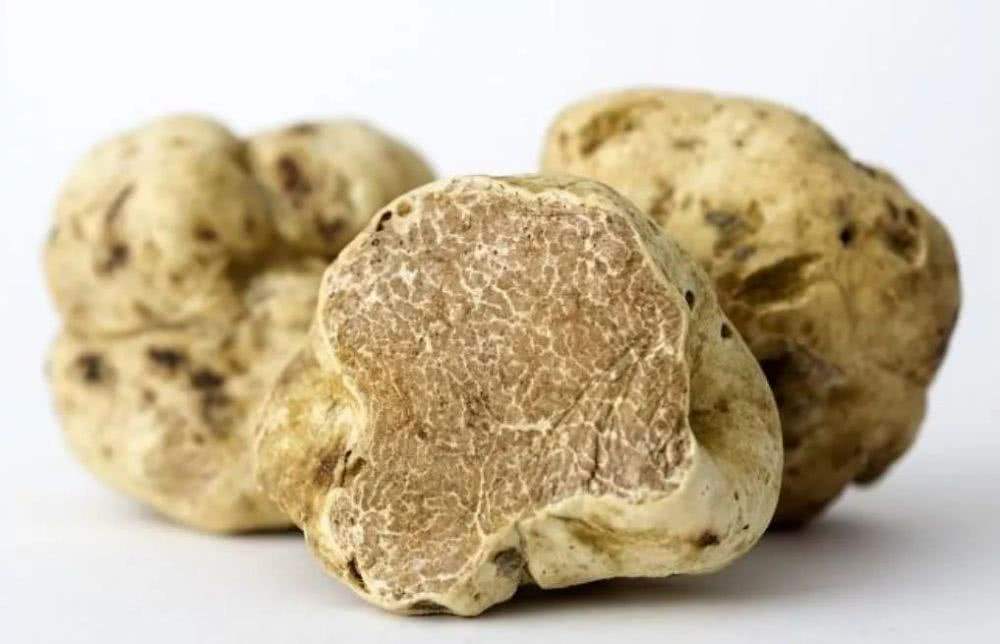 用黄金做的高级美食,价值百万的黄金美食