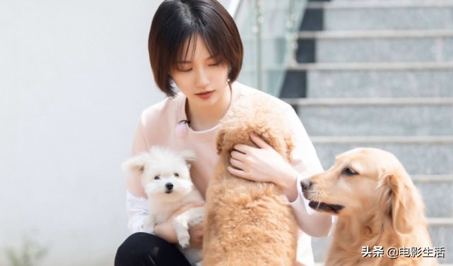 2019这些神级高分综艺你看过几部,冷门综艺排行榜前十名