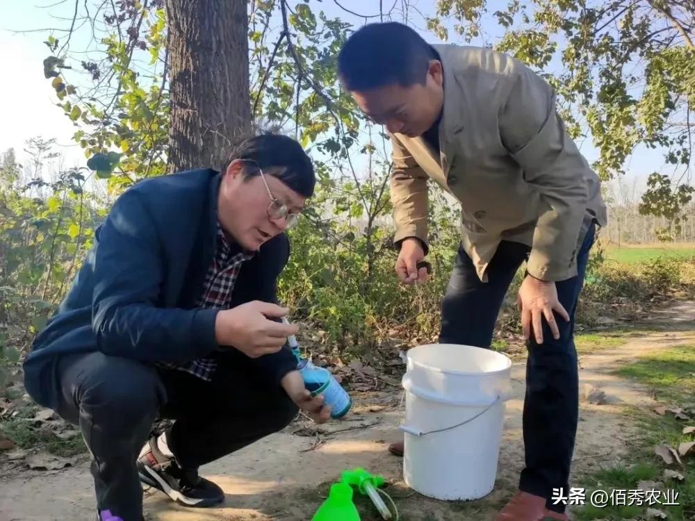 鍐滆嵂浠锋牸鏆磋穼,鍐滆嵂浠锋牸鎸佺画涓嬭穼