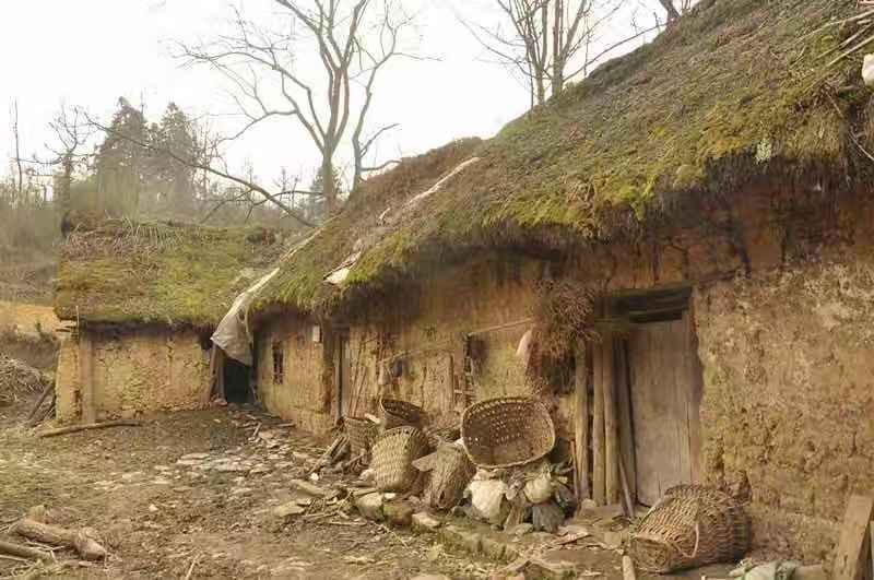 梅花香自苦寒来人生感悟,梅花香自苦寒来的上一句是什么