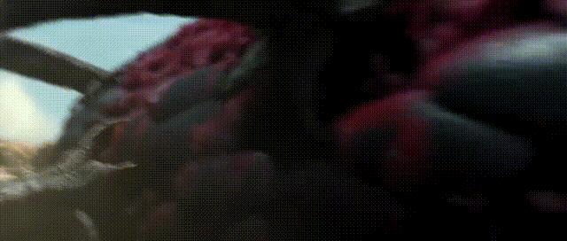 娣辨捣铔囩敺绮惧僵鐗囨,娣辨捣铔囬毦鍦ㄧ嚎瑙傜湅