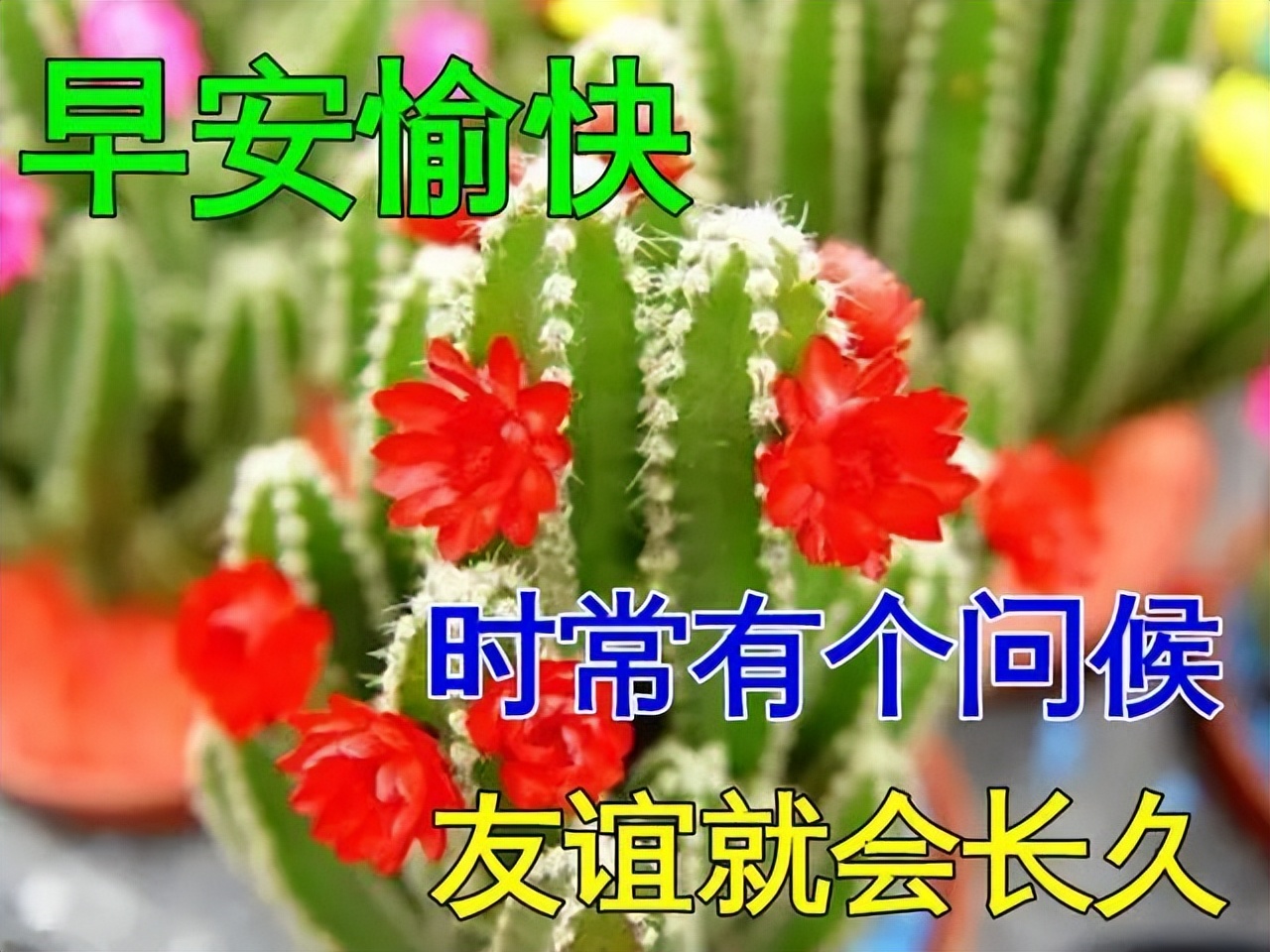 早安心情短语温暖,问候早安语录伤感句子