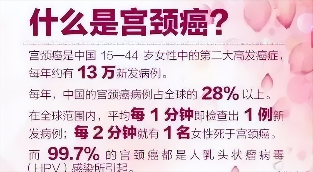 赴港必备三件套,出海4件套