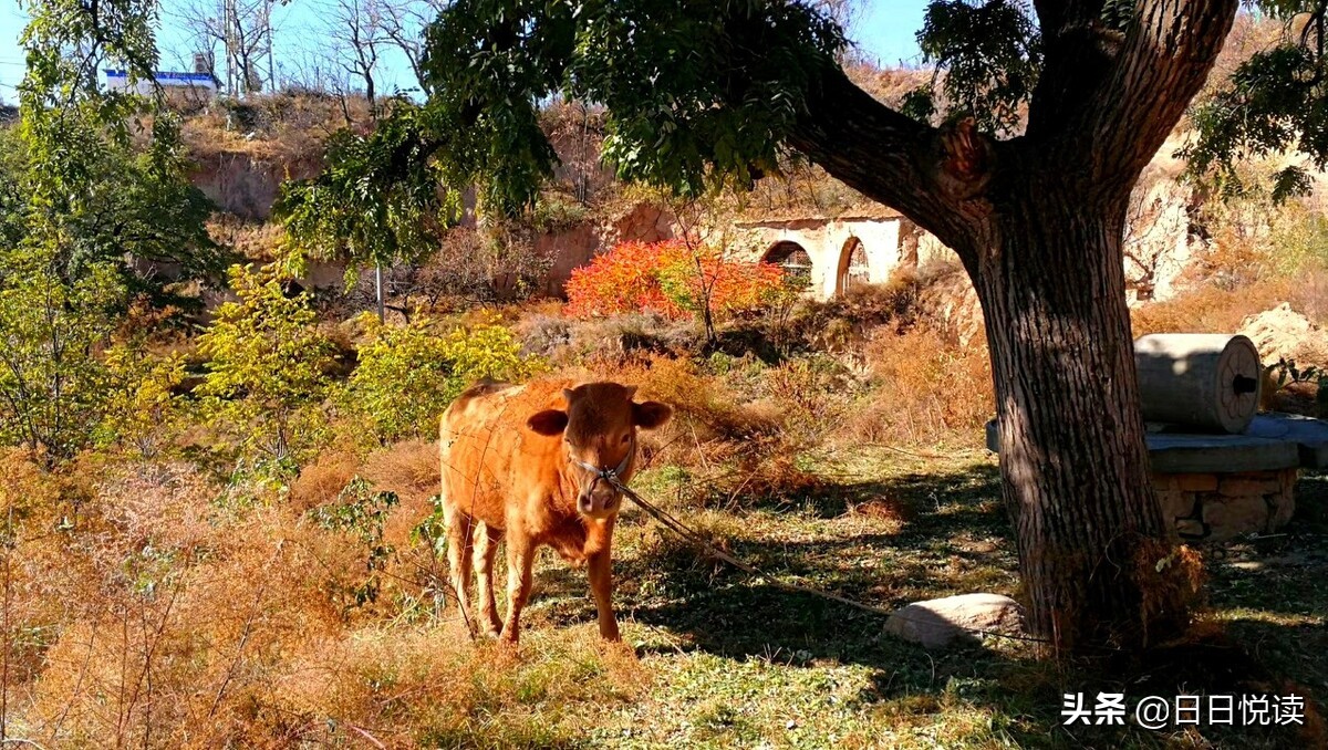作家路遥最经典的十句话,路遥一生清贫