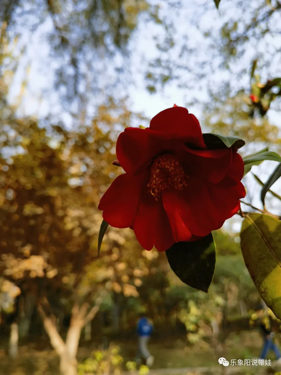 时间都去哪儿了小品完整版,时间都去哪儿了感悟