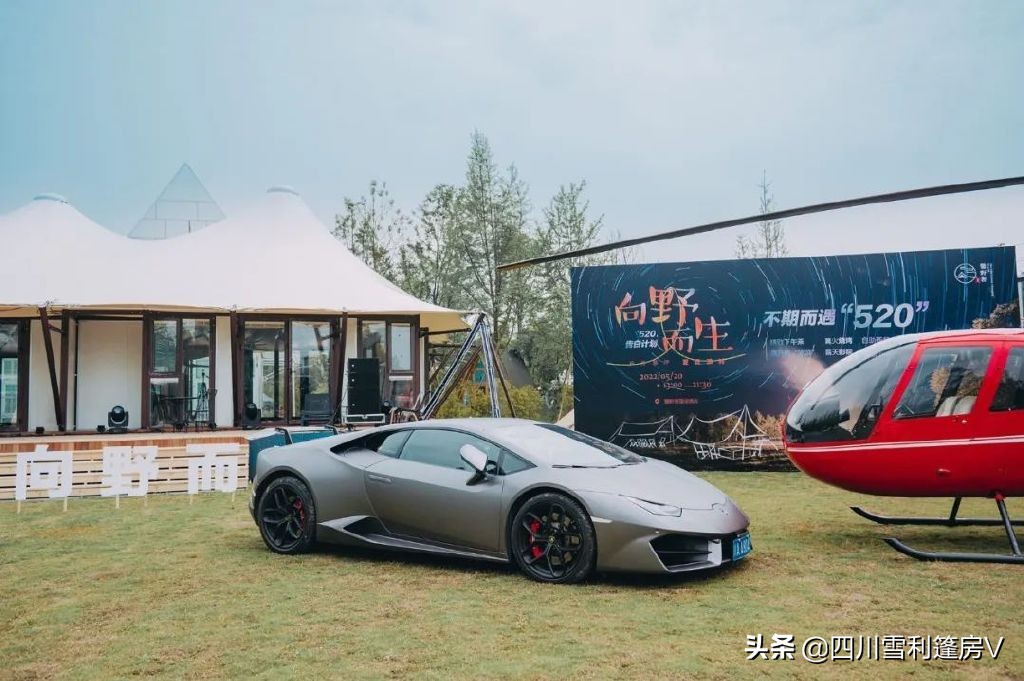 馨野奢520活动回顾|“不期而遇，向野而生”，用爱邂逅甜蜜与浪漫