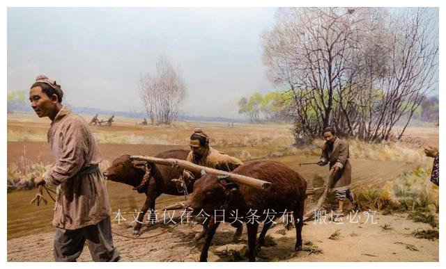 为什么男怕嘴小女怕大鼻呢,男怕嘴小女怕大鼻是怎么回事