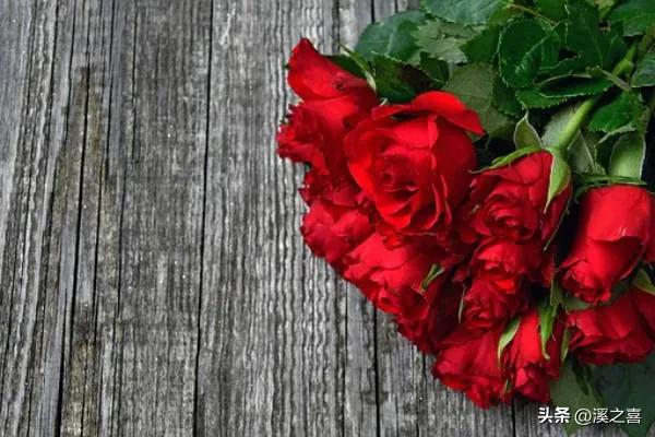 中年人情人节经典语录,中年人情人节幽默句子