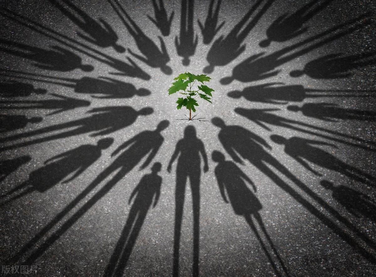 值得推荐八本诗词书,最值得读的书推荐